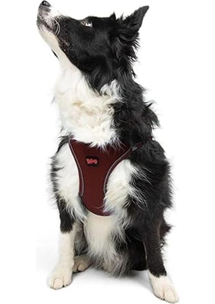 Air-Mesh Küçük ve Orta Irk Kedi Köpek Göğüs Tasması - Yumuşak, Nefes Alabilir, Dayanıklı