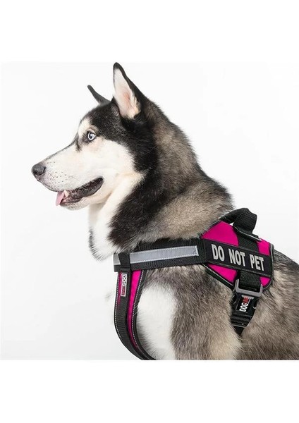 Köpekler Için Yelek Koşum Takımı ve 2 Çıkarılabilir Do Not Pet Yaması, Medium/22 Ila 76 cm indirimleri
