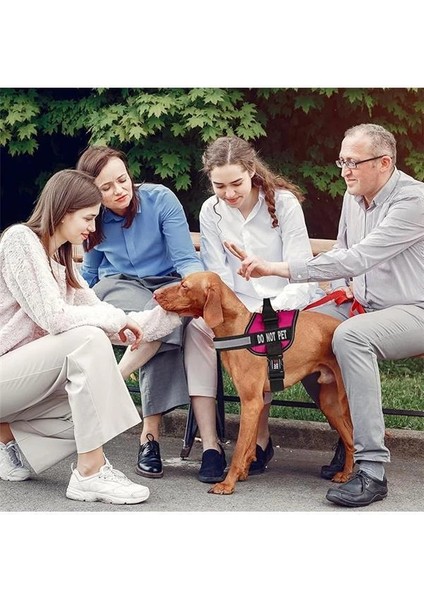 Köpekler Için Yelek Koşum Takımı ve 2 Çıkarılabilir Do Not Pet Yaması, Medium/22 Ila 76 cm