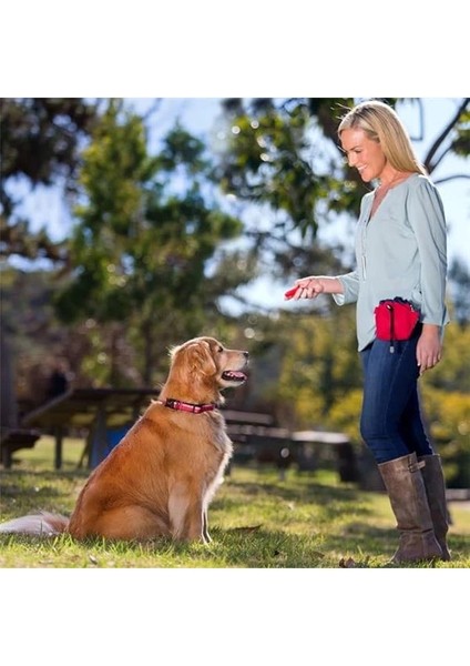 Ödül Çantası, Mor indirimleri