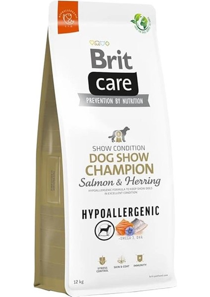 Dog Show Champion, Yarışma Köpekleri Kondisyonu Için, Hipoalerjenik, Somon Balıklı ve
