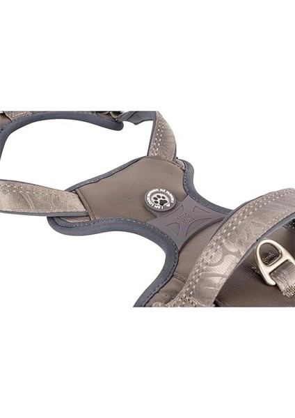 & Molly Urban Pets Matrix 2.0 Akıllı Künyeli Sport Köpek Göğüs Tasması – Üstün Kontrol ve Konfor indirimleri