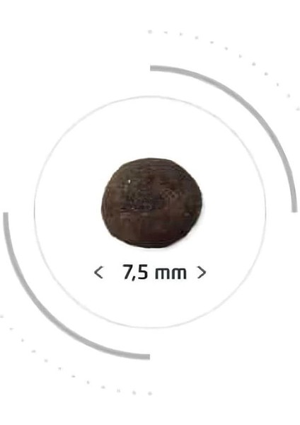 Prestige Kitten Balıklı Yavru Kedi Maması 2kg modelleri