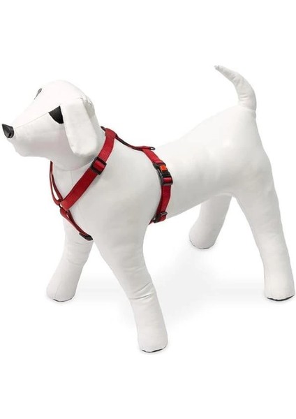 Kilitli Göğüs Tasma, Köpek, 45-70 Cm, Kırmızı