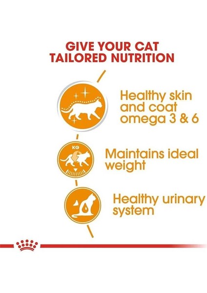 Intense Beauty Kedi Yaş Mama 12X85 gr fiyatları