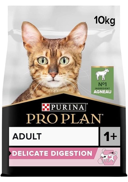 Delicate Kuzu Etli Kuru Kedi Maması 10 kg