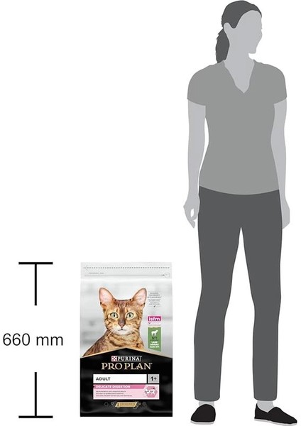 Delicate Kuzu Etli Kuru Kedi Maması 10 kg indirimleri