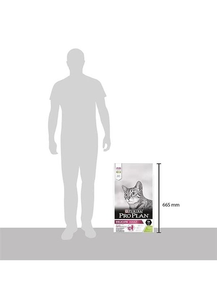 Delicate Kuzu Etli Kuru Kedi Maması 10 kg