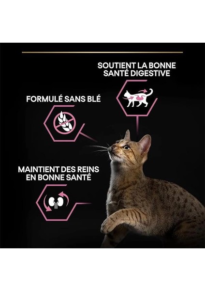 Delicate Kuzu Etli Kuru Kedi Maması 10 kg