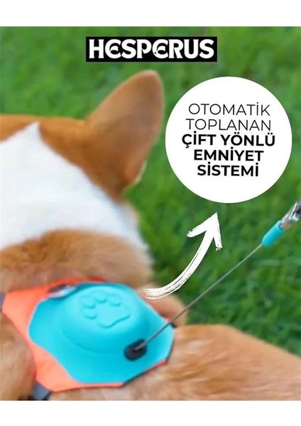 Köpek Tasması Gövdelik ve Göğüslük Otomatik Toplama Rahat ve Konforlu Yürüyüş Tasma (M) fiyatları