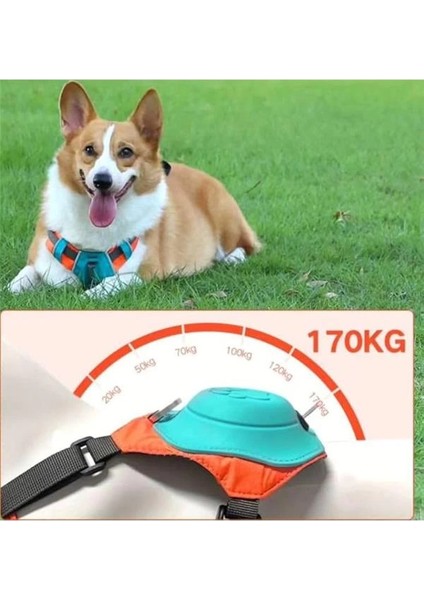 Köpek Tasması Gövdelik ve Göğüslük Otomatik Toplama Rahat ve Konforlu Yürüyüş Tasma (M) modelleri