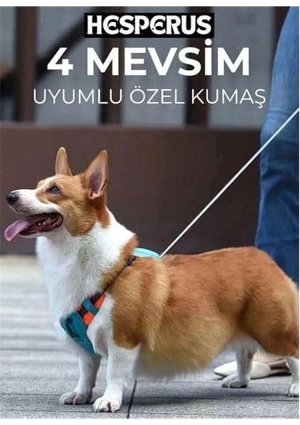 Köpek Tasması Gövdelik ve Göğüslük Otomatik Toplama Rahat ve Konforlu Yürüyüş Tasma (M) fırsatları