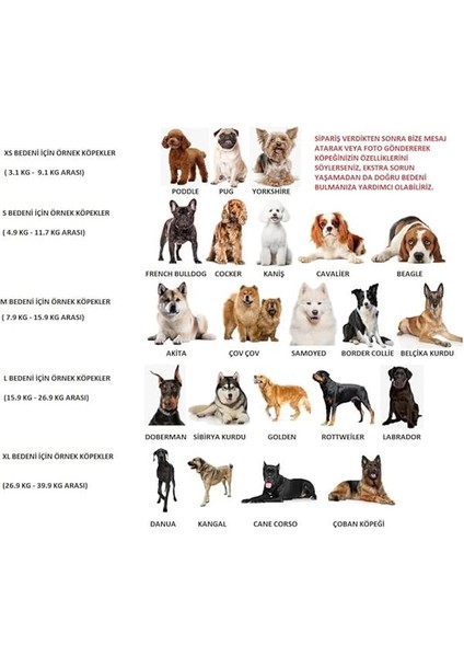 Köpek Tasması Gövdelik ve Göğüslük Otomatik Toplama Rahat ve Konforlu Yürüyüş Tasma (M) indirimleri