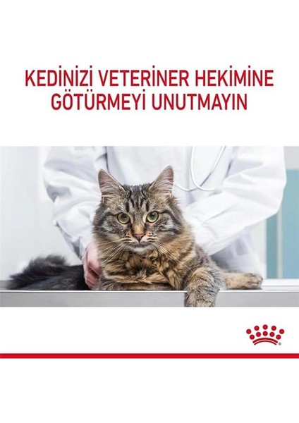 Oral Care Kedi Maması, 1,5 kg fırsatları