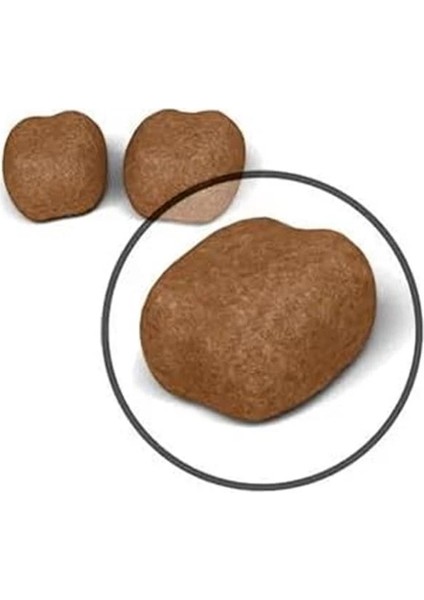 Oral Care Kedi Maması, 1,5 kg