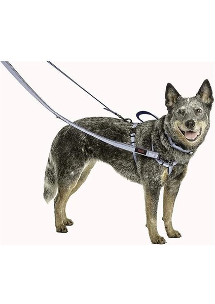 Company Of Animals Çift Uçlu Köpek Gezdirme Kayışı, S Boy, Kırmızı, 2 M fiyatları