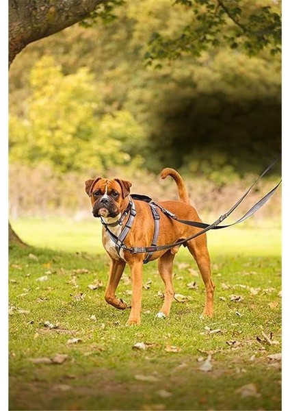 Company Of Animals Çift Uçlu Köpek Gezdirme Kayışı, S Boy, Kırmızı, 2 M modelleri