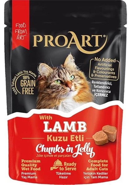 24'lü Jöleli Kuzu Etli Yetişkin Kedi Poşet Maması (85 gr x 24)