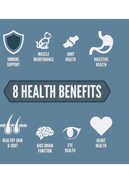 Guardian8 Yetişkin Kediler Için Kedi Maması 4.5 kg modelleri