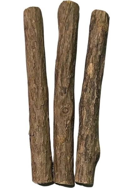 Matatabi - Stick Diş Temizlemeye ve Stres Gidermeye Yardımcı Doğal Oyuncak