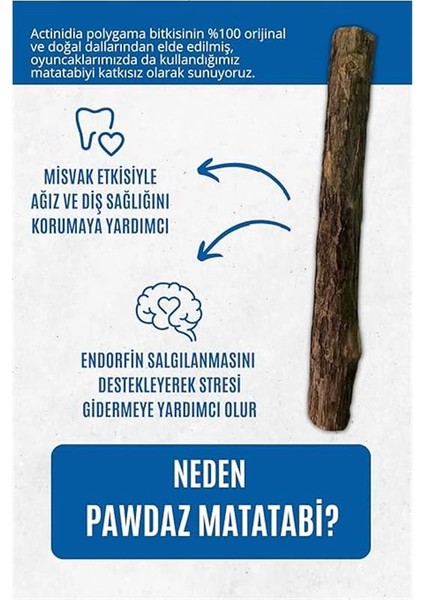 Matatabi - Stick Diş Temizlemeye ve Stres Gidermeye Yardımcı Doğal Oyuncak modelleri