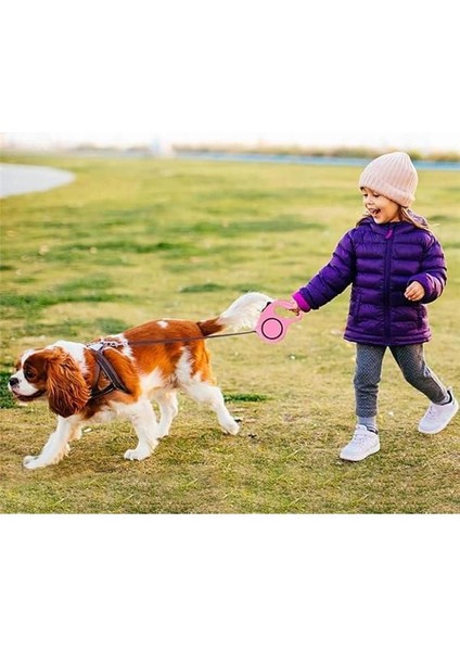 Makaralı Otomatik Köpek Tasması (5 Metre) (Kırmızı) fiyatları