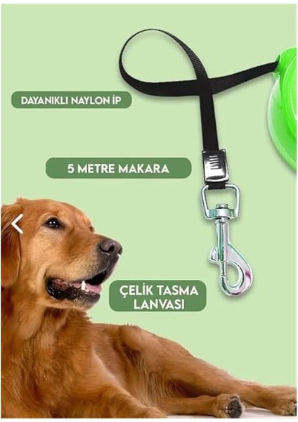 Makaralı Otomatik Köpek Tasması (5 Metre) (Kırmızı)