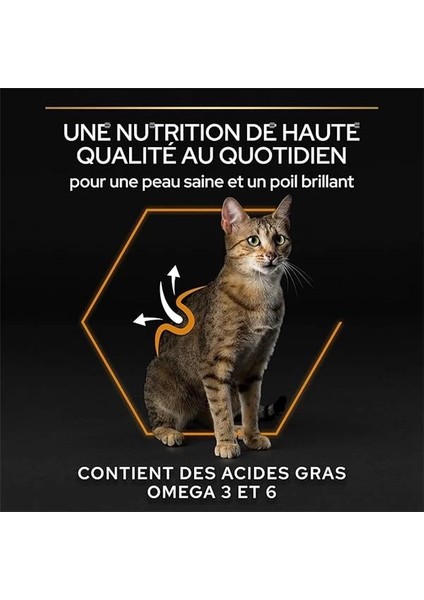 Elegant Somonlu Kuru Kedi Maması 1.5 kg modelleri