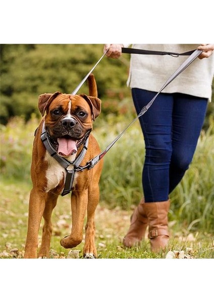 Halti Çift Uçlu Köpek Gezdirme Kayışı, L Boy, Mor, 2 M fırsatları