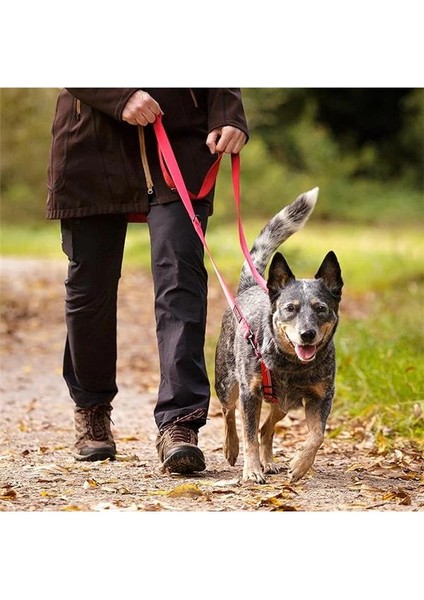 Halti Çift Uçlu Köpek Gezdirme Kayışı, L Boy, Mor, 2 M indirimleri