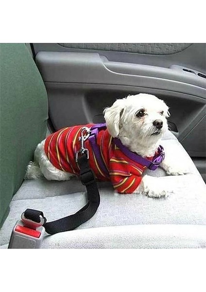 Köpek Emniyet Kemeri ve Gezdirme Tasması - Tüm Araçlara Uyumlu - Köpek Araba Seyahat Kemeri