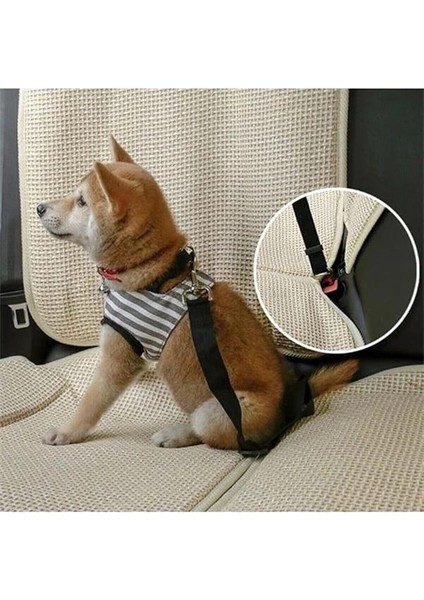 Köpek Emniyet Kemeri ve Gezdirme Tasması - Tüm Araçlara Uyumlu - Köpek Araba Seyahat Kemeri fiyatları