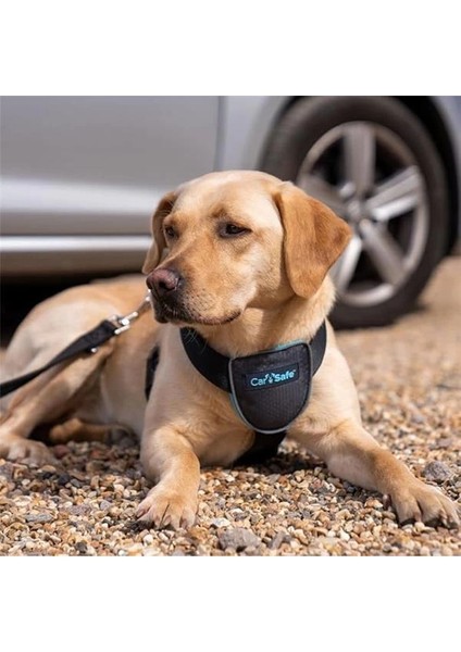 Carsafe Köpek Harness Araba Seyahat Göğüs Tasması, Large Siyah modelleri
