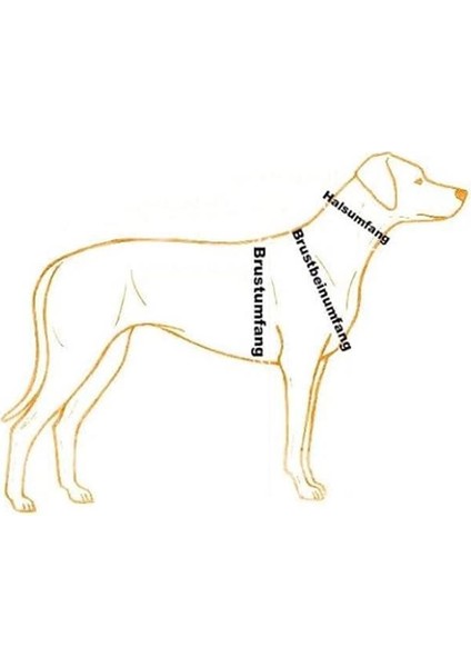 Reflektörlü Göğüs Tasması, S 36-46 Cm, Siyah fırsatları