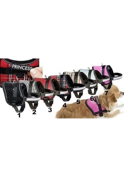 Reflektörlü Göğüs Tasması, S 36-46 Cm, Siyah