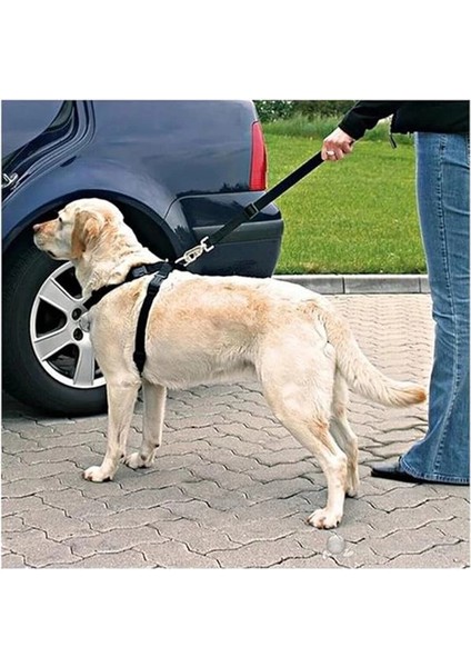 Köpek Emniyet Kemeri ve Gezdirme Tasması - Tüm Araçlara Uyumlu - Köpek Araba Seyahat Kemeri indirimleri