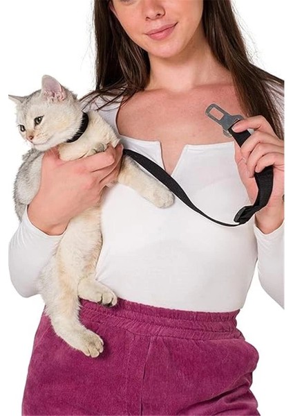 Köpek Emniyet Kemeri ve Gezdirme Tasması - Tüm Araçlara Uyumlu - Köpek Araba Seyahat Kemeri