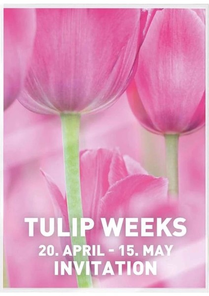 Leitz Udt Laminasyon Poşeti, A4, 100 Mikron, 100 Adet, Şeffaf modelleri