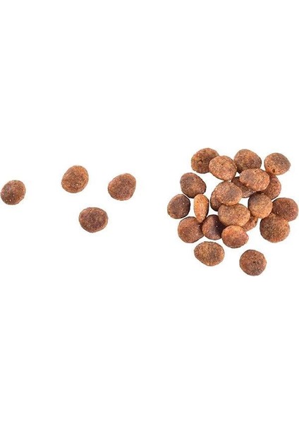 Care Sensitive Healthy Digestion & Delicate Taste, Yetişkin Hassas Kediler Için, Tahılsız fiyatları