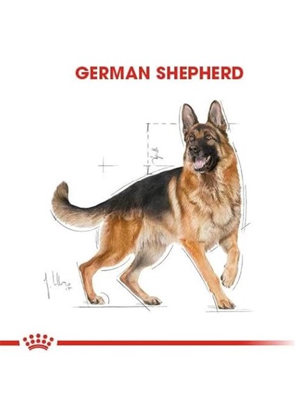 German Shepherd Adult Köpek Maması, 11 kg