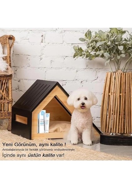 Prive Capro Paste/dg Dişki Yeme Önleyici Pasta 100 gr fiyatları