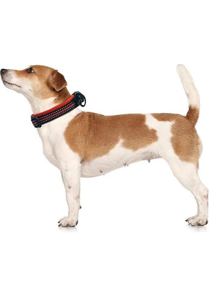 M-Pets Hıkıng Reflektörlü Boyun Tasması Black (M) fiyatları