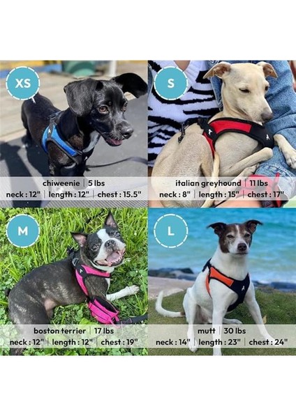 - Escape Free Easy Fit Yemek Takımı, Yemek Takımlarından Kaçmayı Seven Küçük Köpekler Için