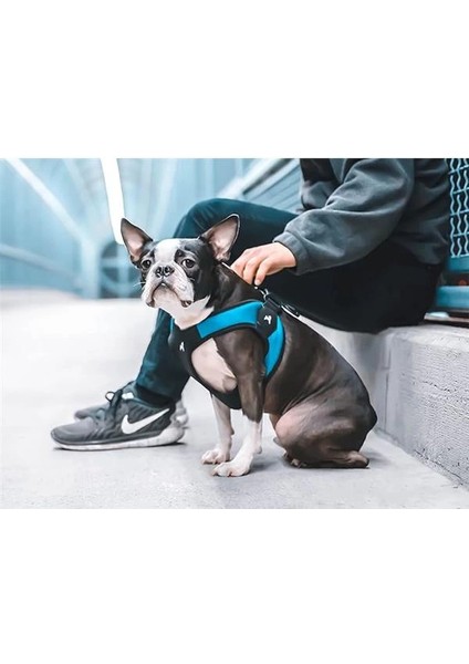 - Escape Free Easy Fit Yemek Takımı, Yemek Takımlarından Kaçmayı Seven Küçük Köpekler Için