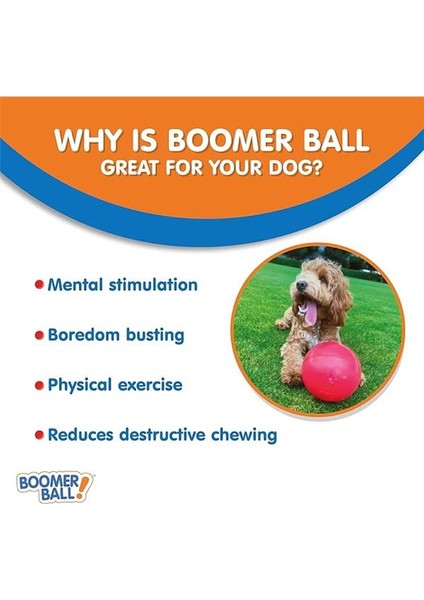 Boomer Köpek Için Sert Oyun Topu 10 cm modelleri