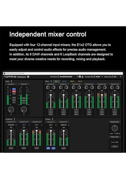 Topping Professional E1X2 Otg | White Yüksek Kalite Usb-C Ses Kartı: 1-Giriş/2-Çıkış 24BIT/192KHZ