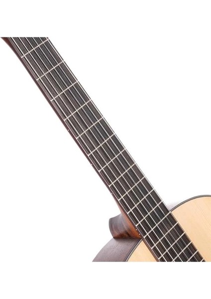 Klasik Gitar AC200OP modelleri