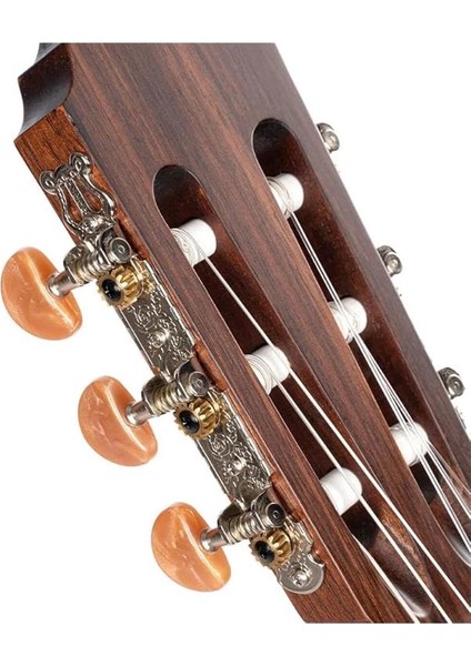 Klasik Gitar AC200OP indirimleri