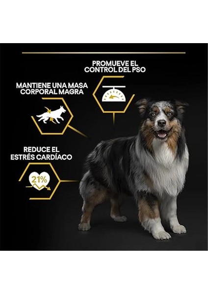 All Size Beyaz Balıklı Sterilised-Light Yetişkin Köpek Maması 14 kg