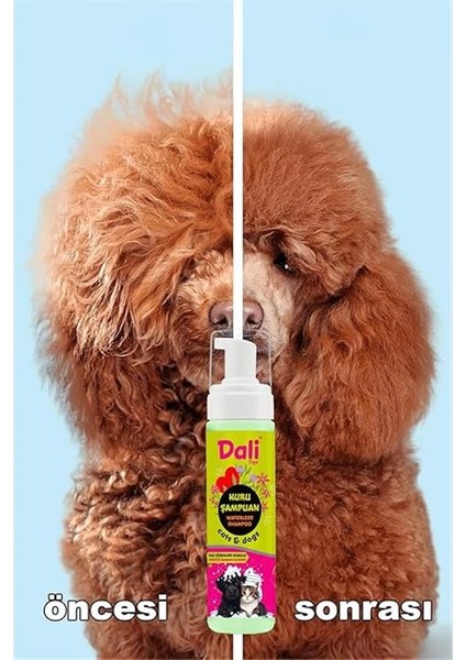 Kedi ve Köpekler Için Kuru Şampuan, Durulamasız, Susuz - Bit, Pire, Dış Parazit, Kene, Uyuz fiyatları
